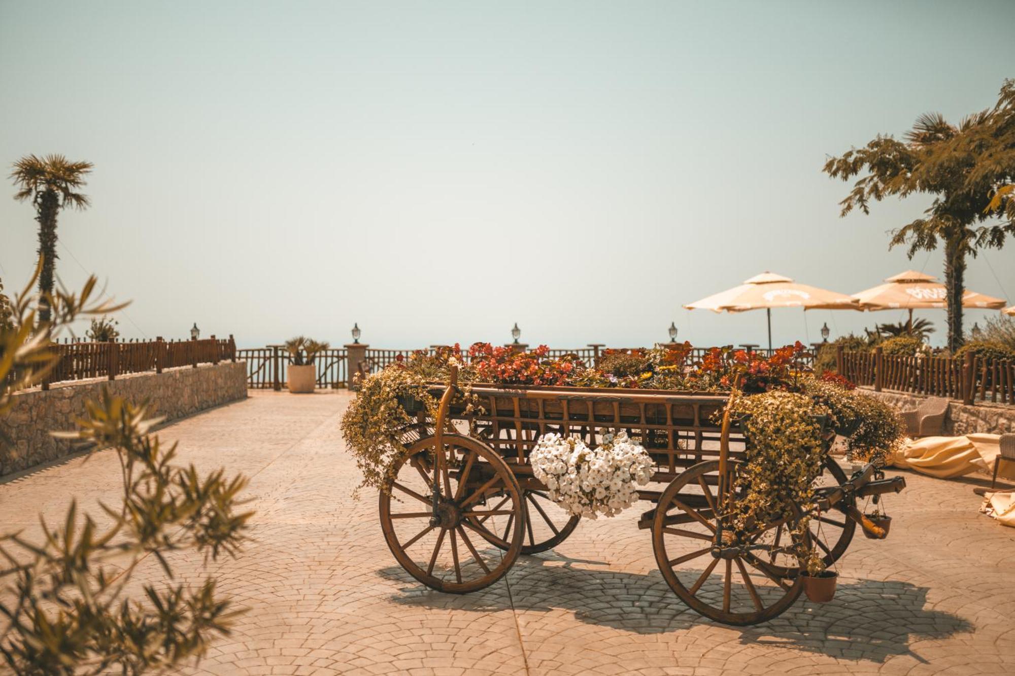 Villa Carevic &